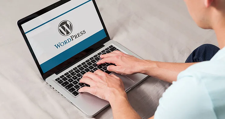 Insert PDF into WordPress with this easy solution[➜ Tutorial]